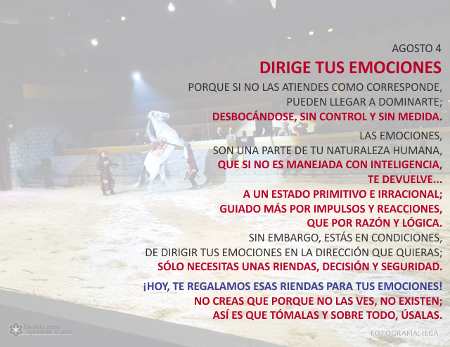 Dirige tus emociones